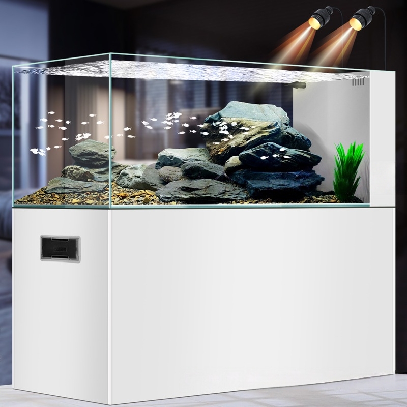 2026 Minimalist Rimless Aquari - Planted Aquarium Aquascape recension och pris
