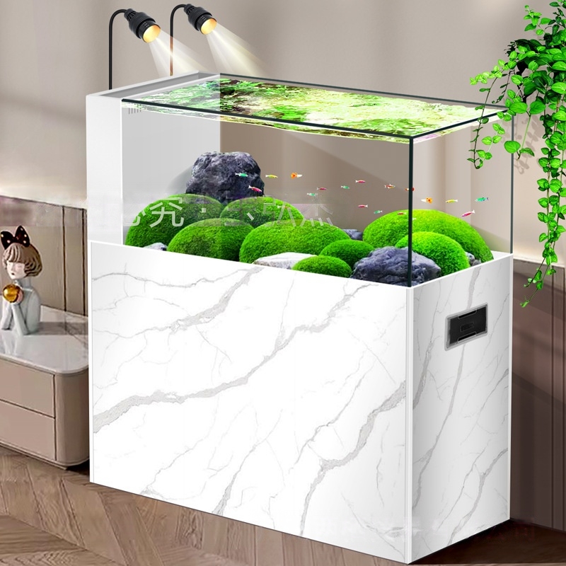 2026 Minimalist Rimless Aquari - Planted Aquarium Aquascape recension och pris