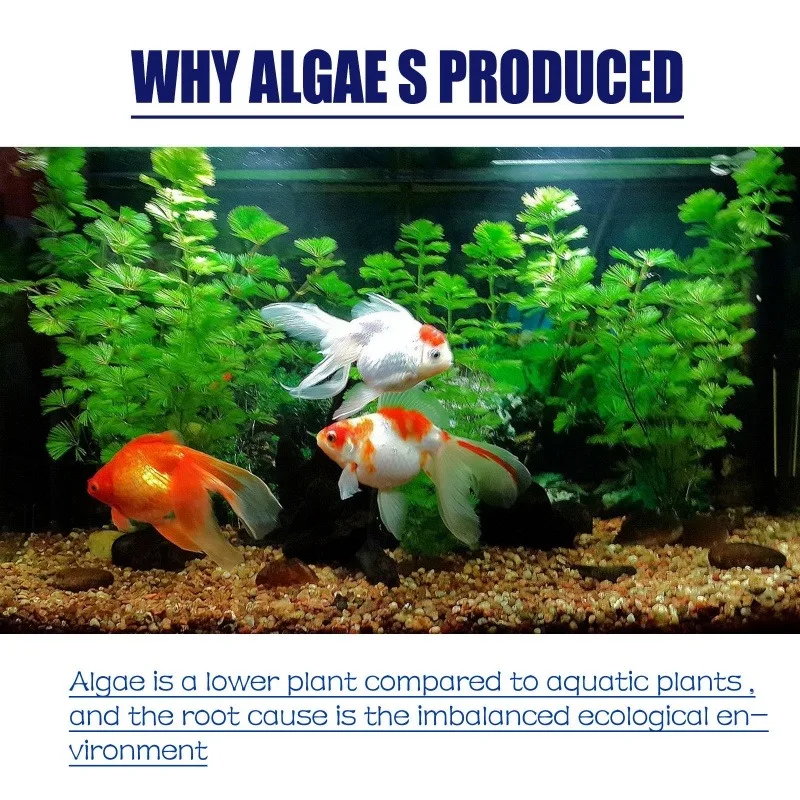 50g High Efficiency Algaecide  - Planted Aquarium Equipment recension och pris