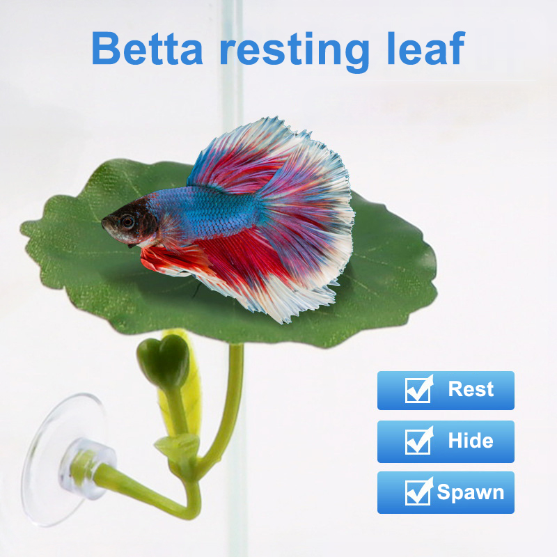 1 Pc Green Leaf Hammock For Be - Planted Aquarium For Betta recension och pris