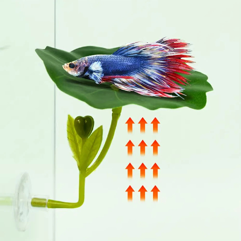 1 Pc Green Leaf Hammock For Be - Planted Aquarium For Betta recension och pris