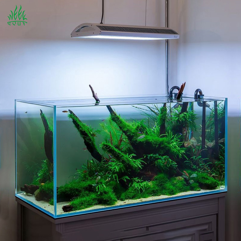 Week Aqua A430Pro LED Aquarium - Planted Aquarium Aquascape recension och pris