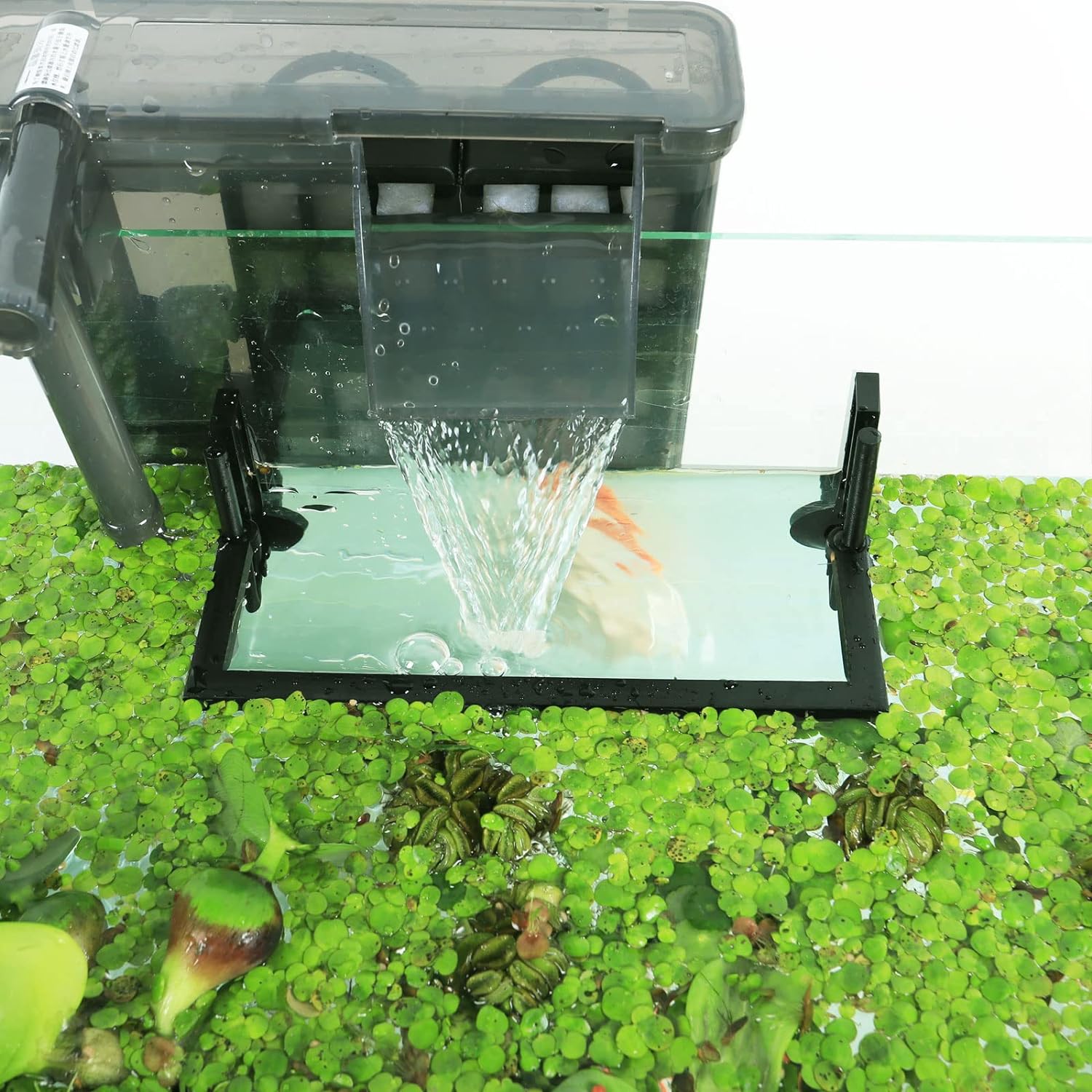 Aquarium Floating Plant Corral - Planted Aquarium Heater recension och pris