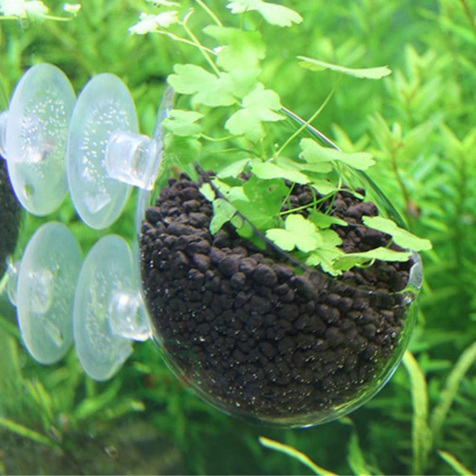 Aquarium Plant Holder Glass Aq - Planted Aquarium Aquascape recension och pris
