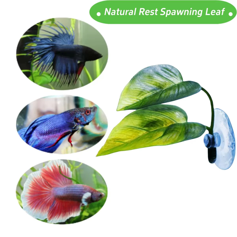 Aquarium Pet Supplies Decorati - Planted Aquarium For Betta recension och pris