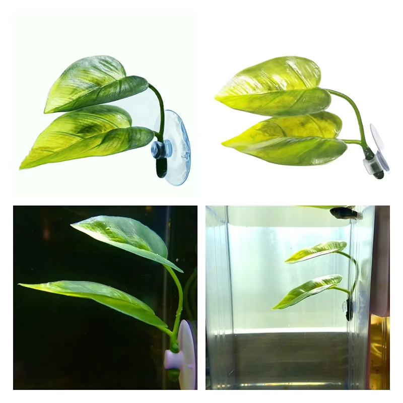 Aquarium Pet Supplies Decorati - Planted Aquarium For Betta recension och pris