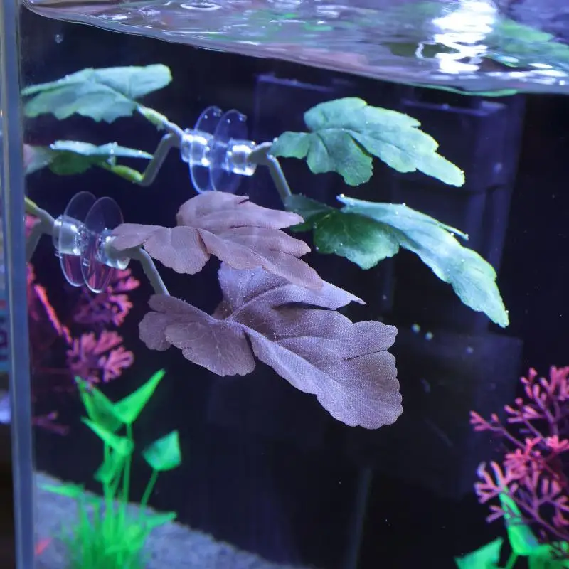 Betta Fish Leaf Hammock Aquari - Planted Aquarium For Betta recension och pris