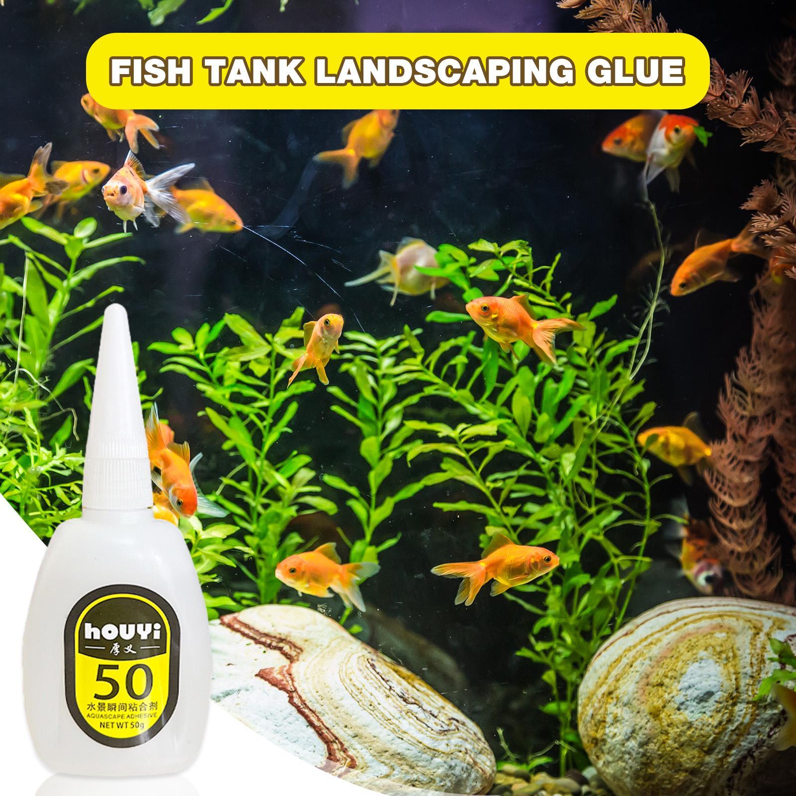 50/100g Clear Instant Glue Aqu - Planted Aquarium Aquascape recension och pris