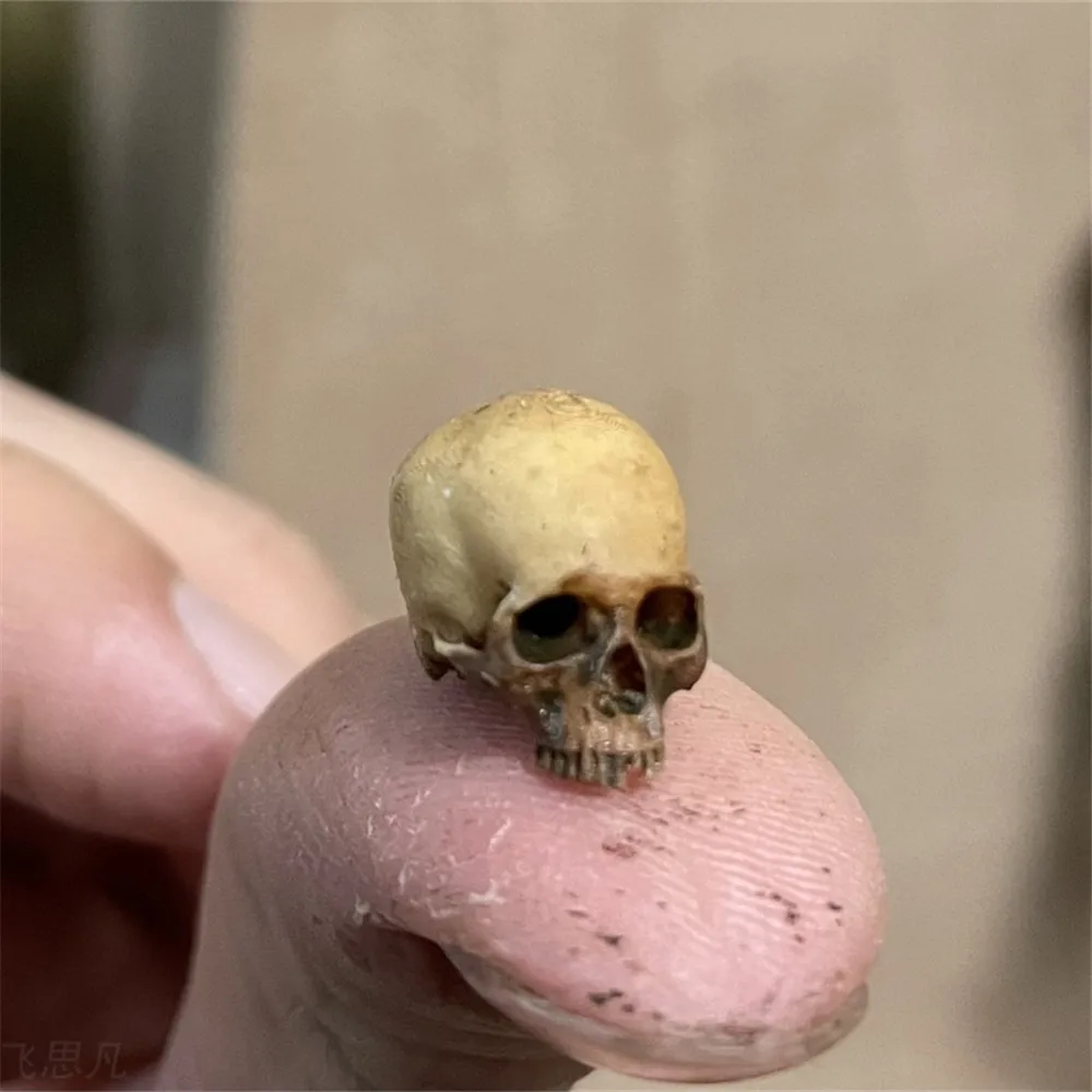 Mini Skull High Quality Miniat - Aquarium Plant In Pot recension och pris